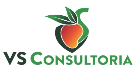 VS Consultoria