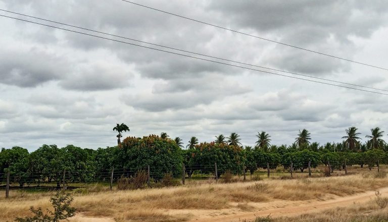 Fazenda Lins